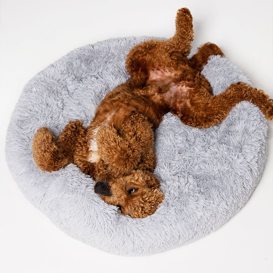 Lit apaisant Comfy wopiloo® déhoussable