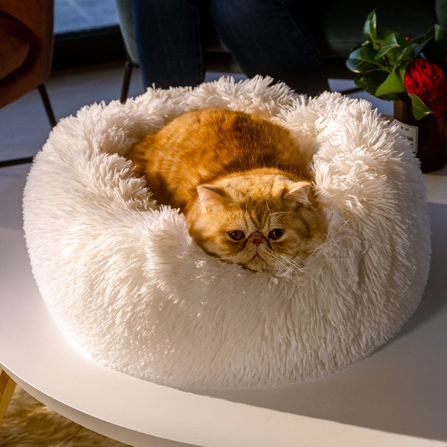 Lit apaisant Comfy wopiloo® déhoussable