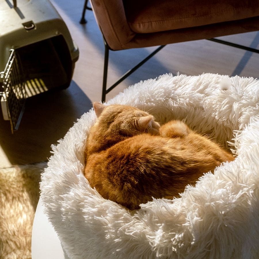 Lit apaisant Comfy wopiloo® déhoussable