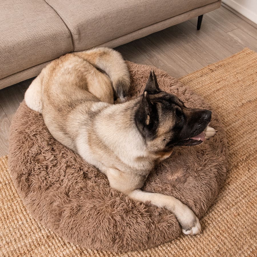 Lit apaisant Comfy wopiloo® déhoussable