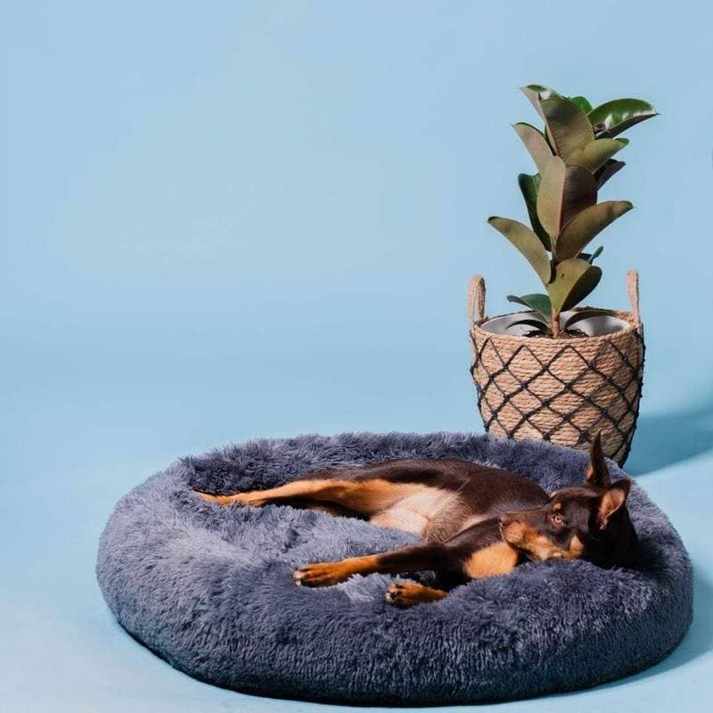 Lit apaisant Comfy wopiloo® déhoussable