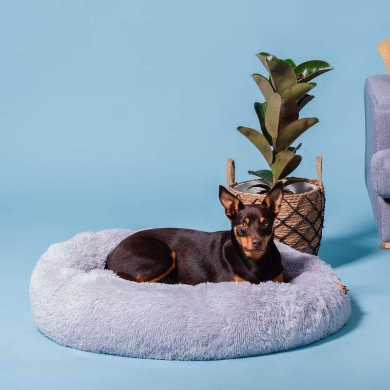 Lit apaisant Comfy wopiloo® déhoussable